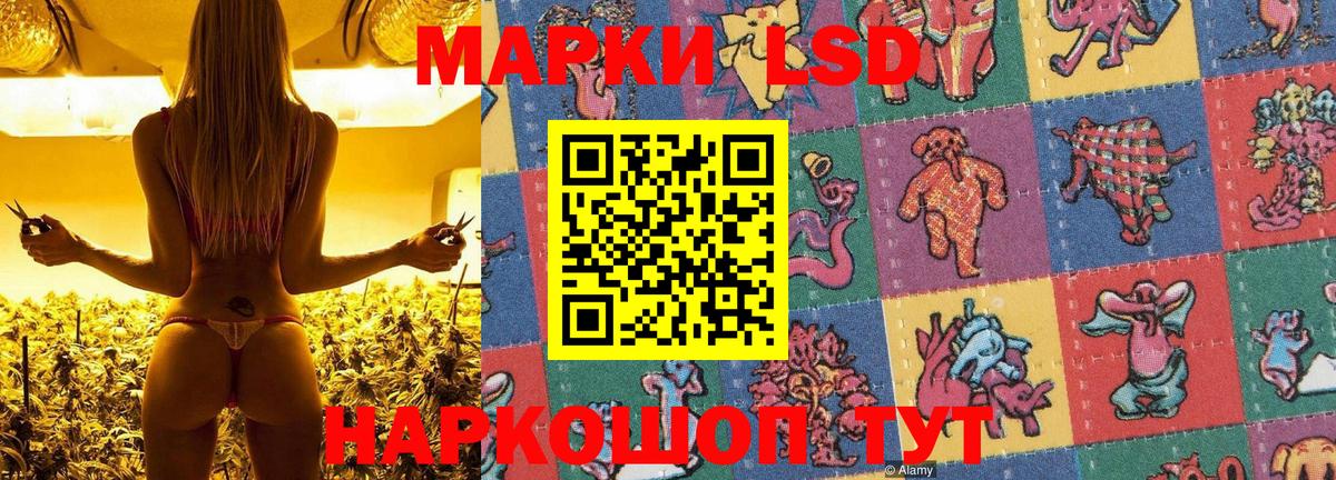 Великий Новгород  Марки NBOMe 1,8мг  Вход с VPN  Наркотические марки  Марки NBOMe 1,8мг 